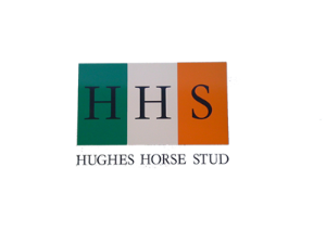 stacks_image_617E4CDA-4EAA-4E81-B149-34DC8C3D5535